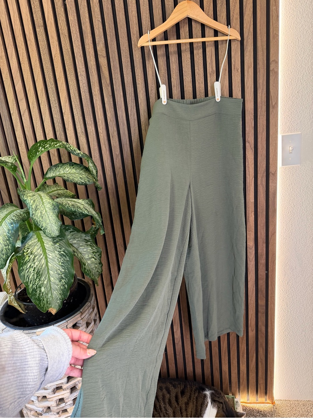 Adrianna Papell Pull On Pants - Sage Green